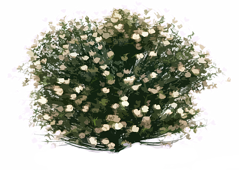 免抠植物古风树木插画元素