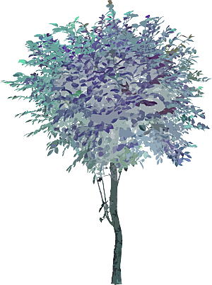 免抠植物古风树木插画元素