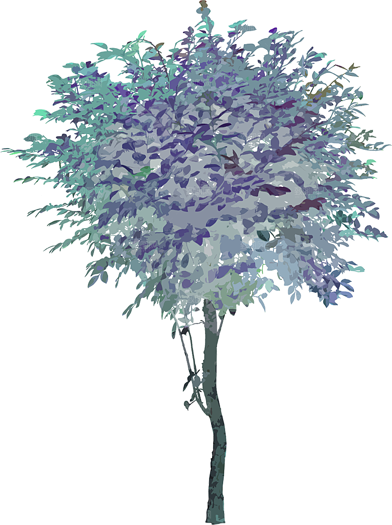 免抠植物古风树木插画元素