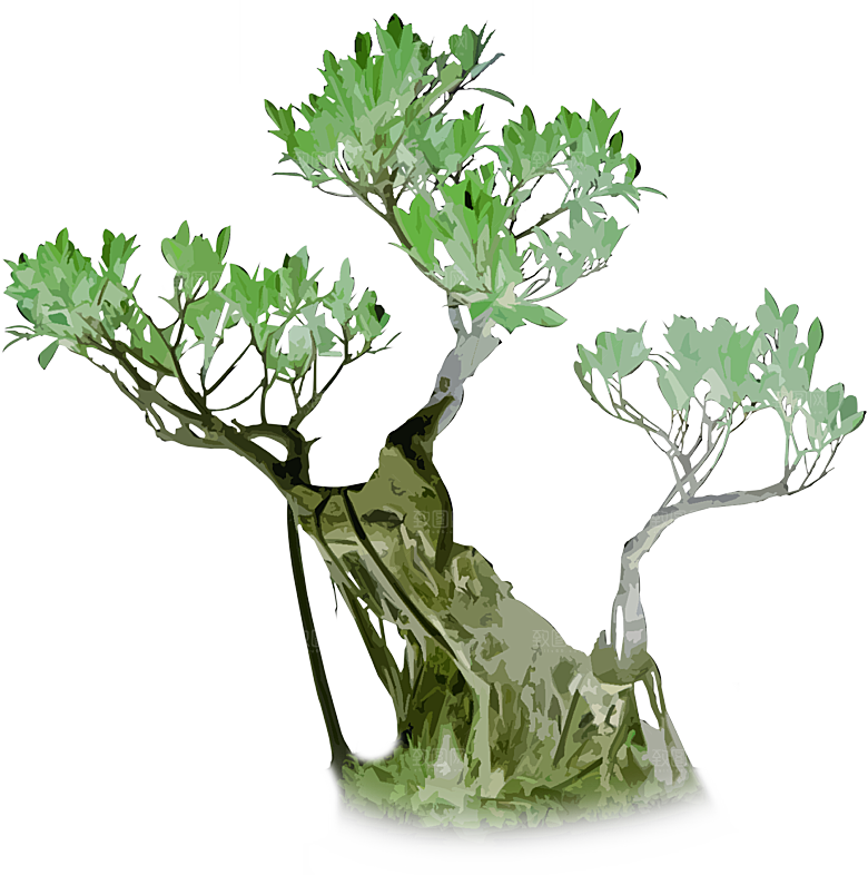 免抠植物古风树木插画元素