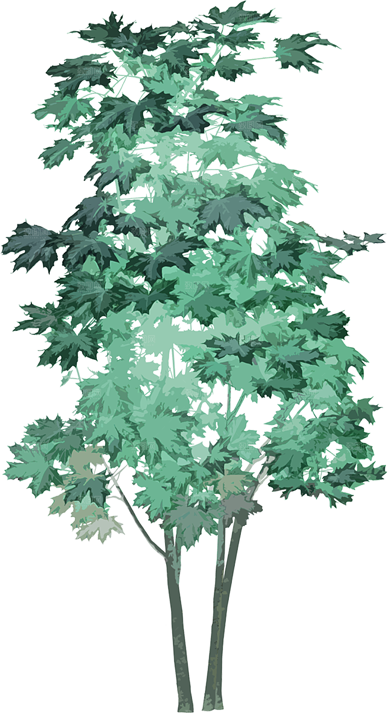 免抠植物古风树木插画元素