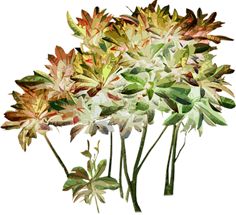 免抠植物古风树木插画元素