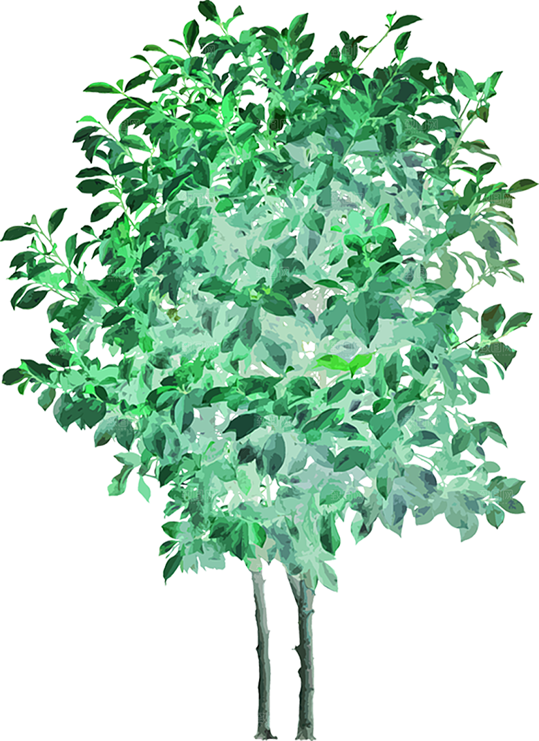 免抠植物古风树木插画元素