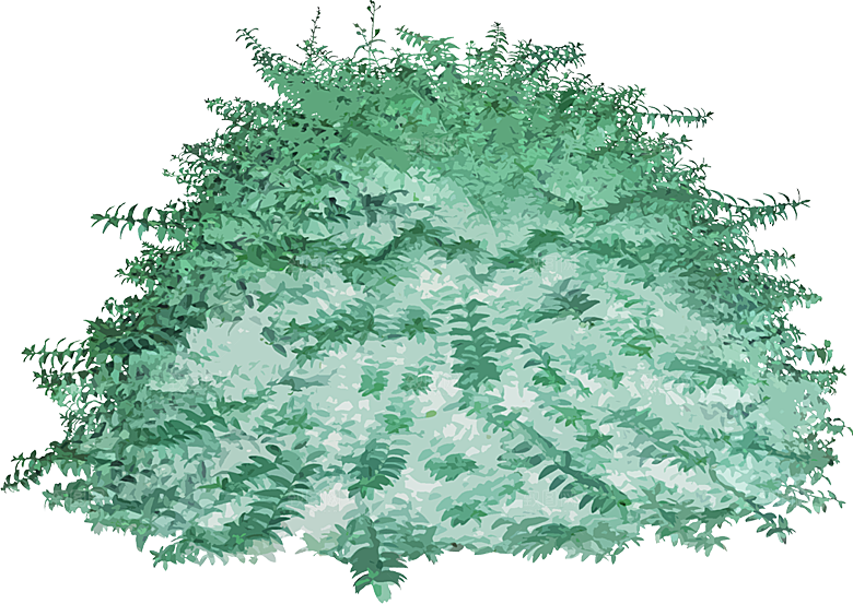 免抠植物古风树木插画元素