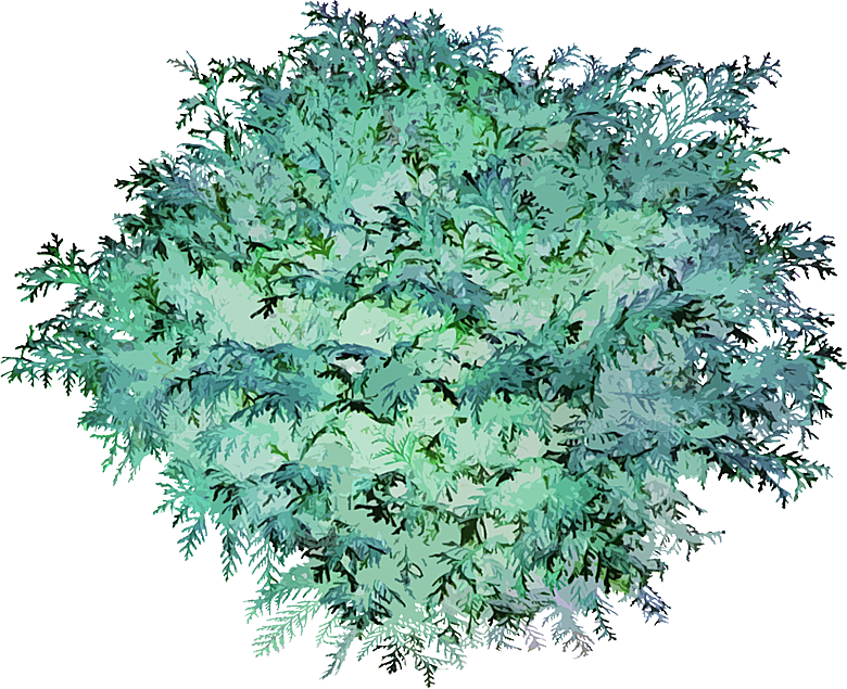 免抠植物古风树木插画元素