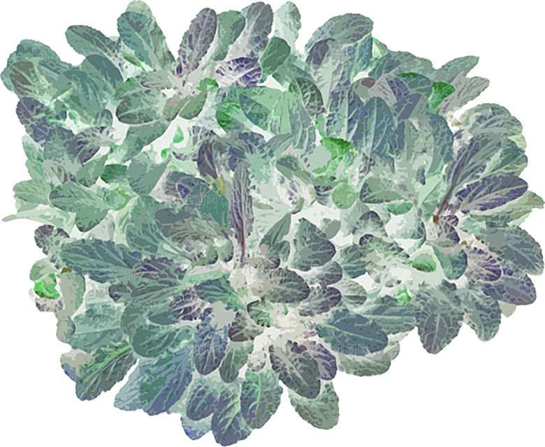 免抠植物古风树木插画元素