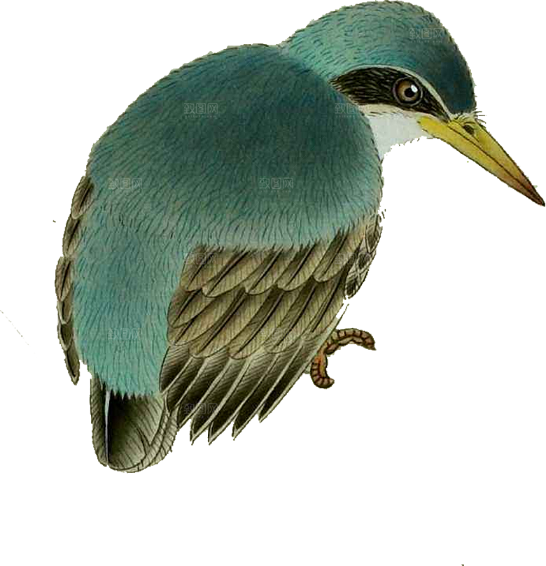 免抠元素动物插画PNG素材