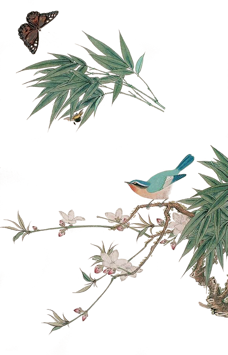 免抠元素动物插画PNG素材
