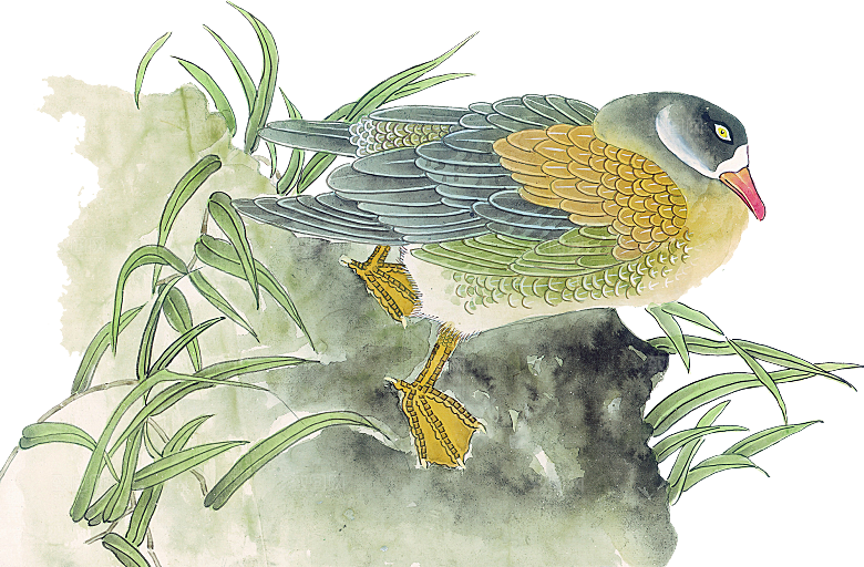 免抠元素动物插画PNG素材