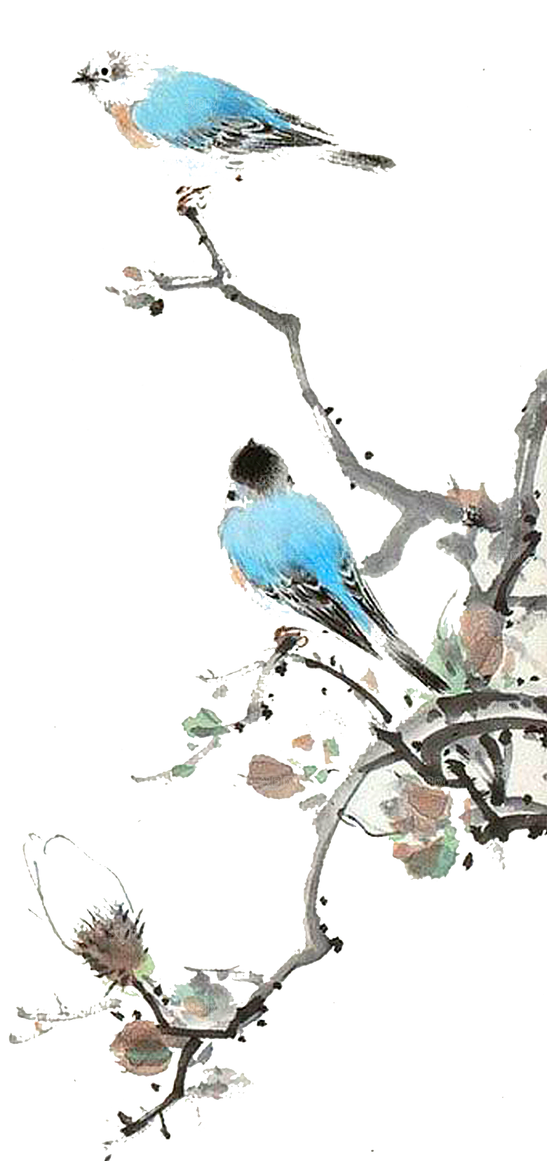免抠元素动物插画PNG素材