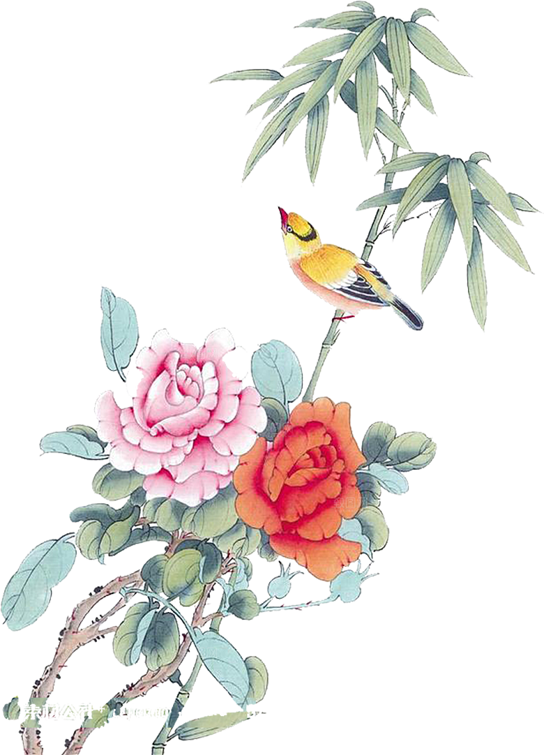 免抠元素动物插画PNG素材