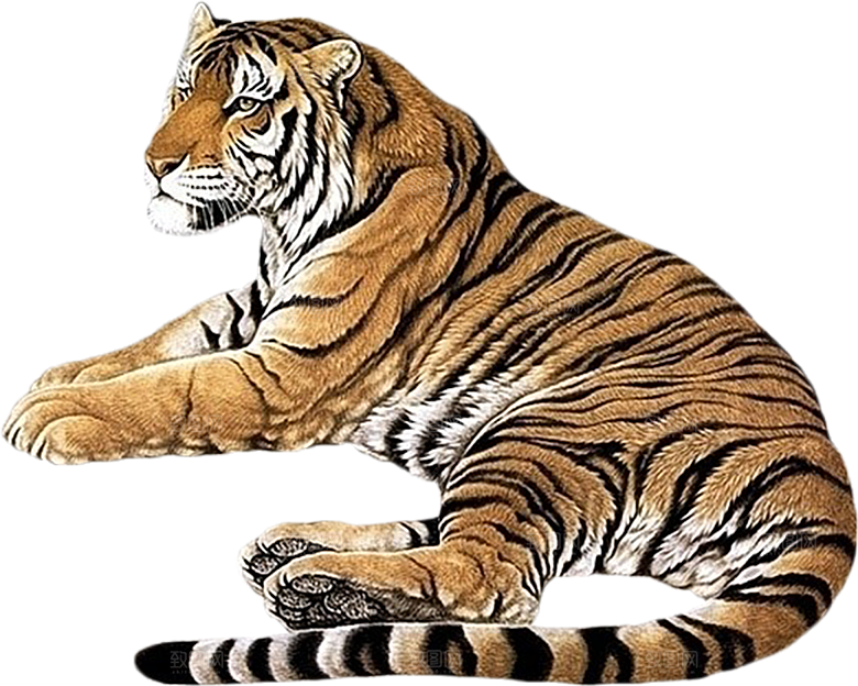 免抠元素动物插画PNG素材