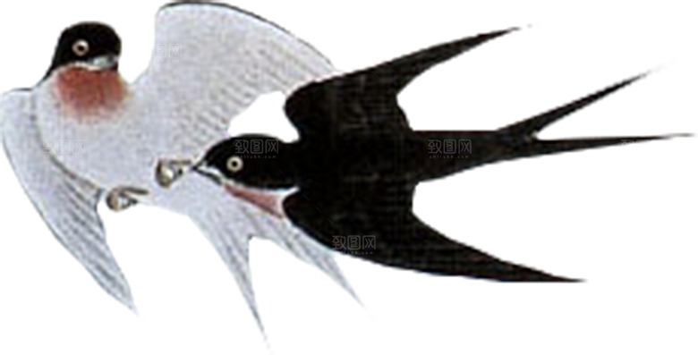 免抠元素动物插画PNG素材