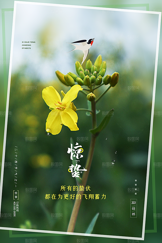 传统节日唯美中国风花鸟惊蛰海报