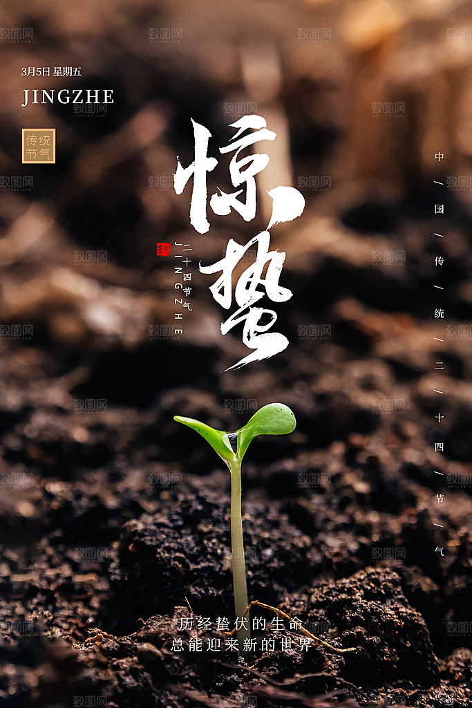 传统节日唯美中国风花鸟惊蛰海报