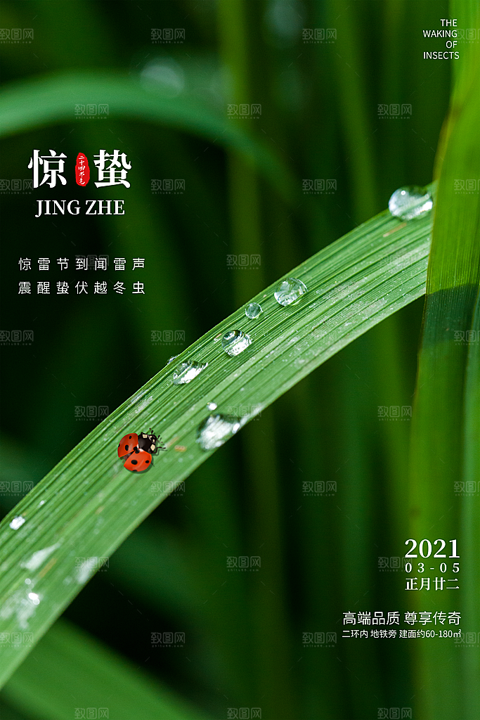 春季意境二十四节气惊蛰插画