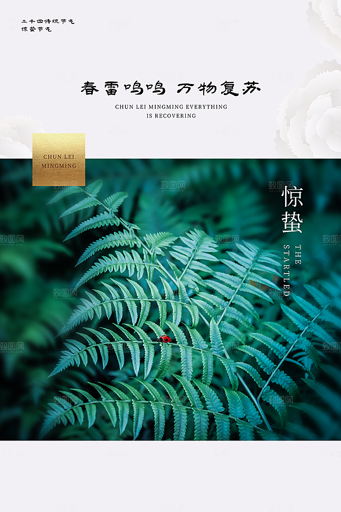 简约地产风二十四节气惊蛰海报