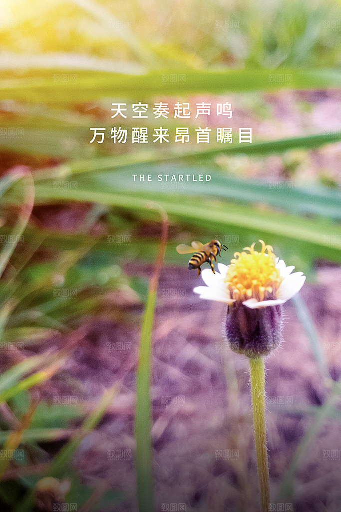 简约中国风春天春季传统节气惊蛰节气