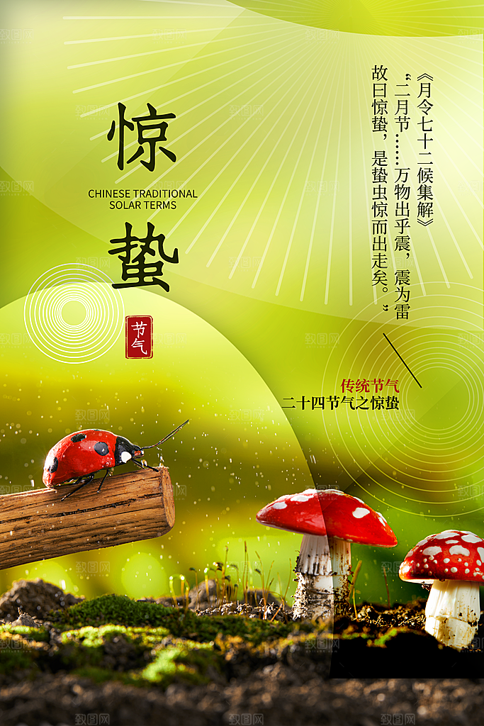 传统节日唯美中国风花鸟惊蛰海报