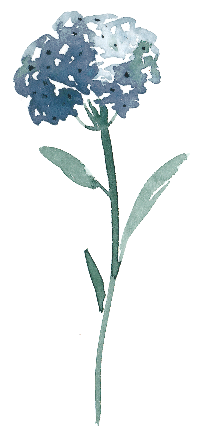水墨手绘花卉树枝免扣元素