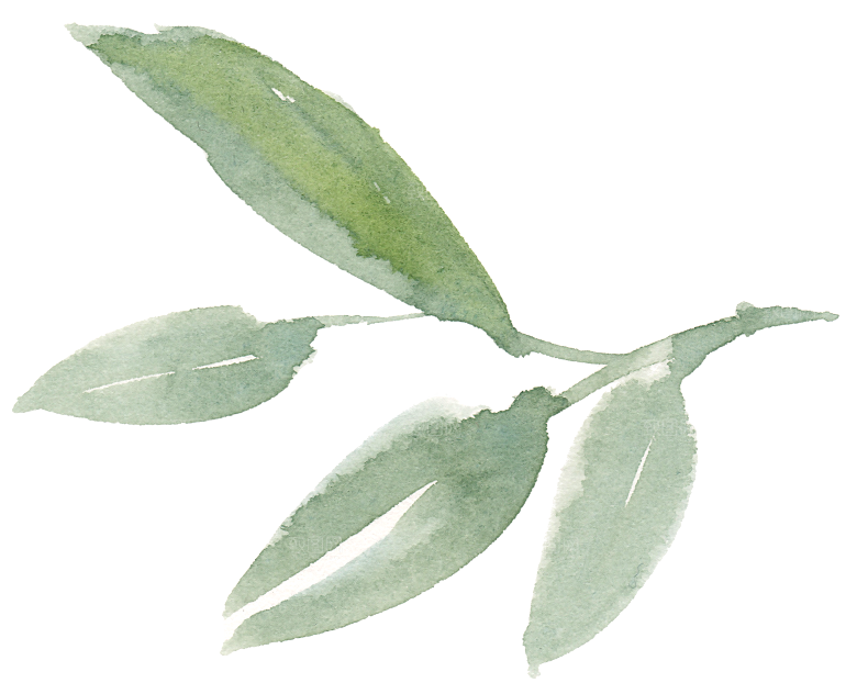 水墨手绘花卉树枝免扣元素