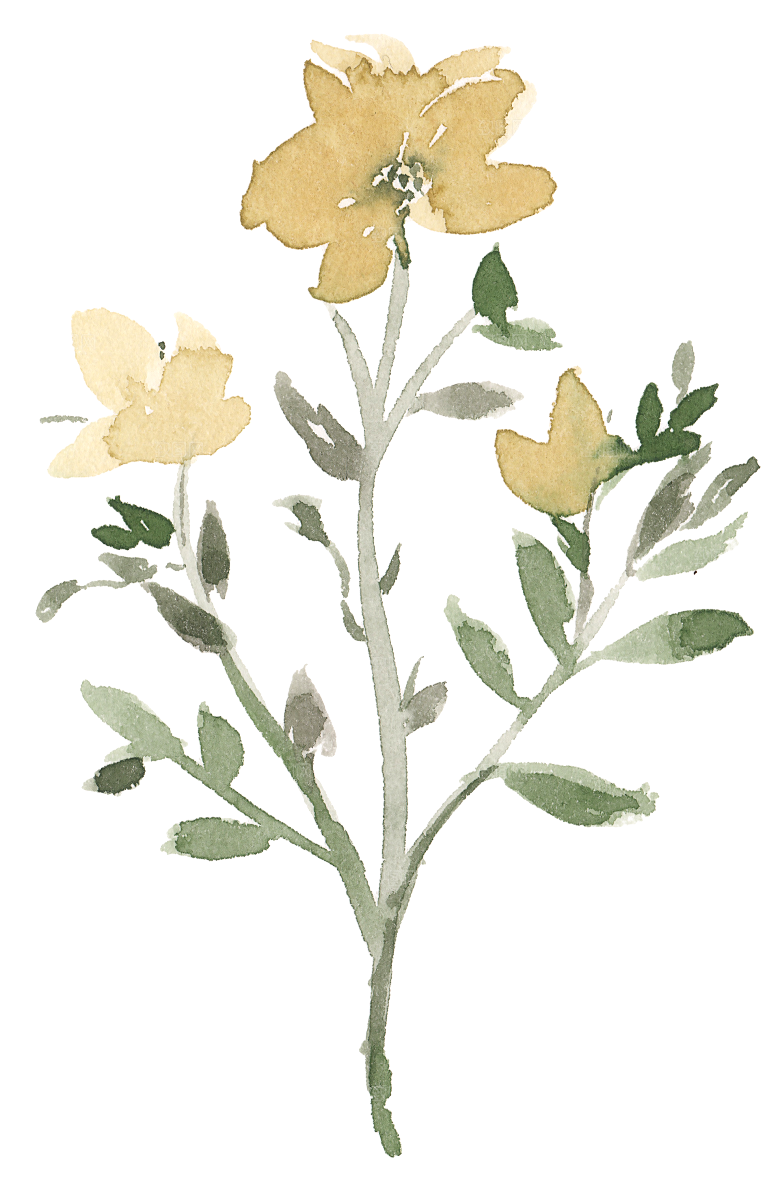 水墨手绘花卉树枝免扣元素