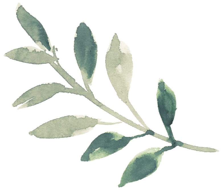 水墨手绘花卉树枝免扣元素