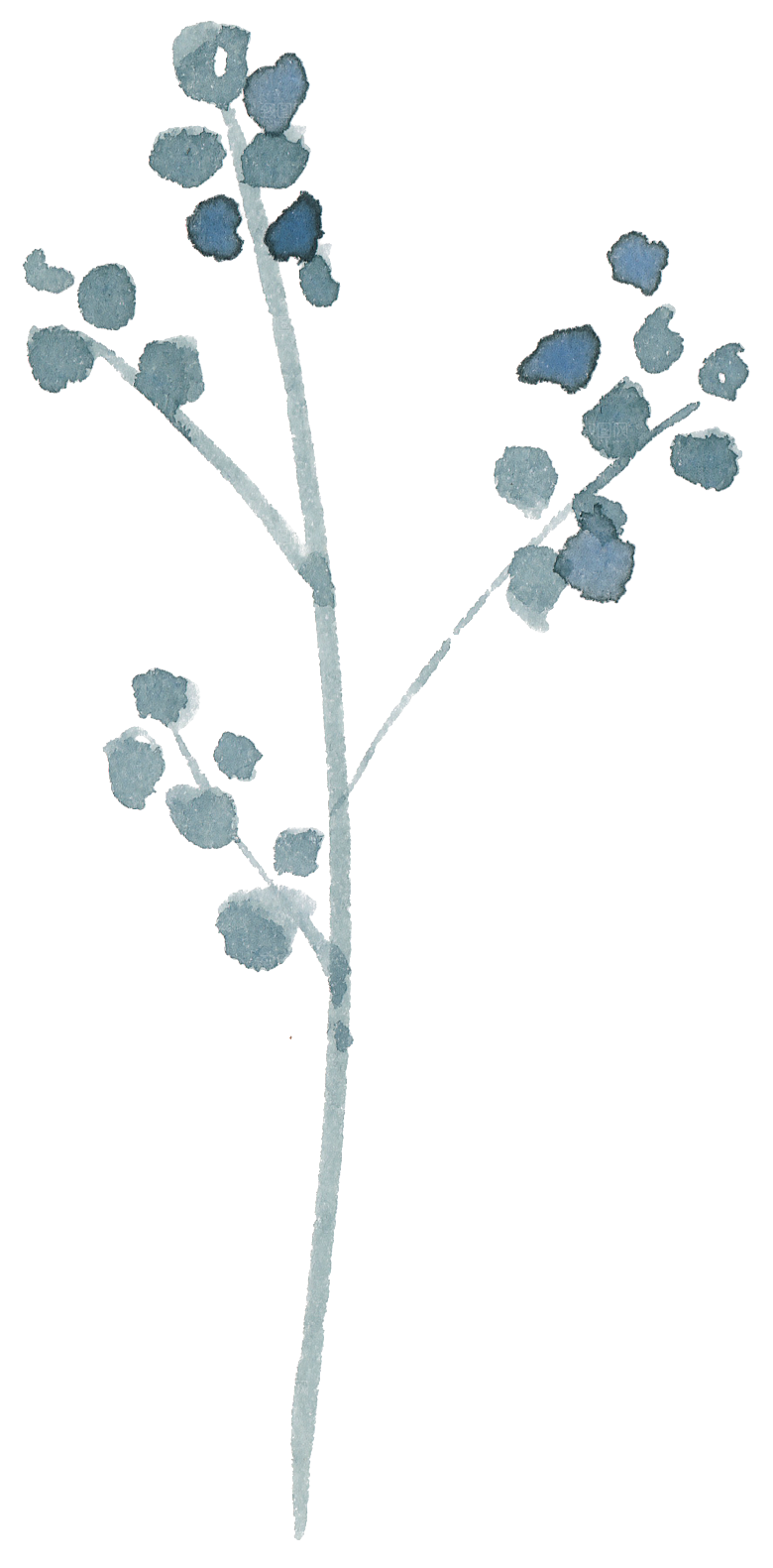 水墨手绘花卉树枝免扣元素