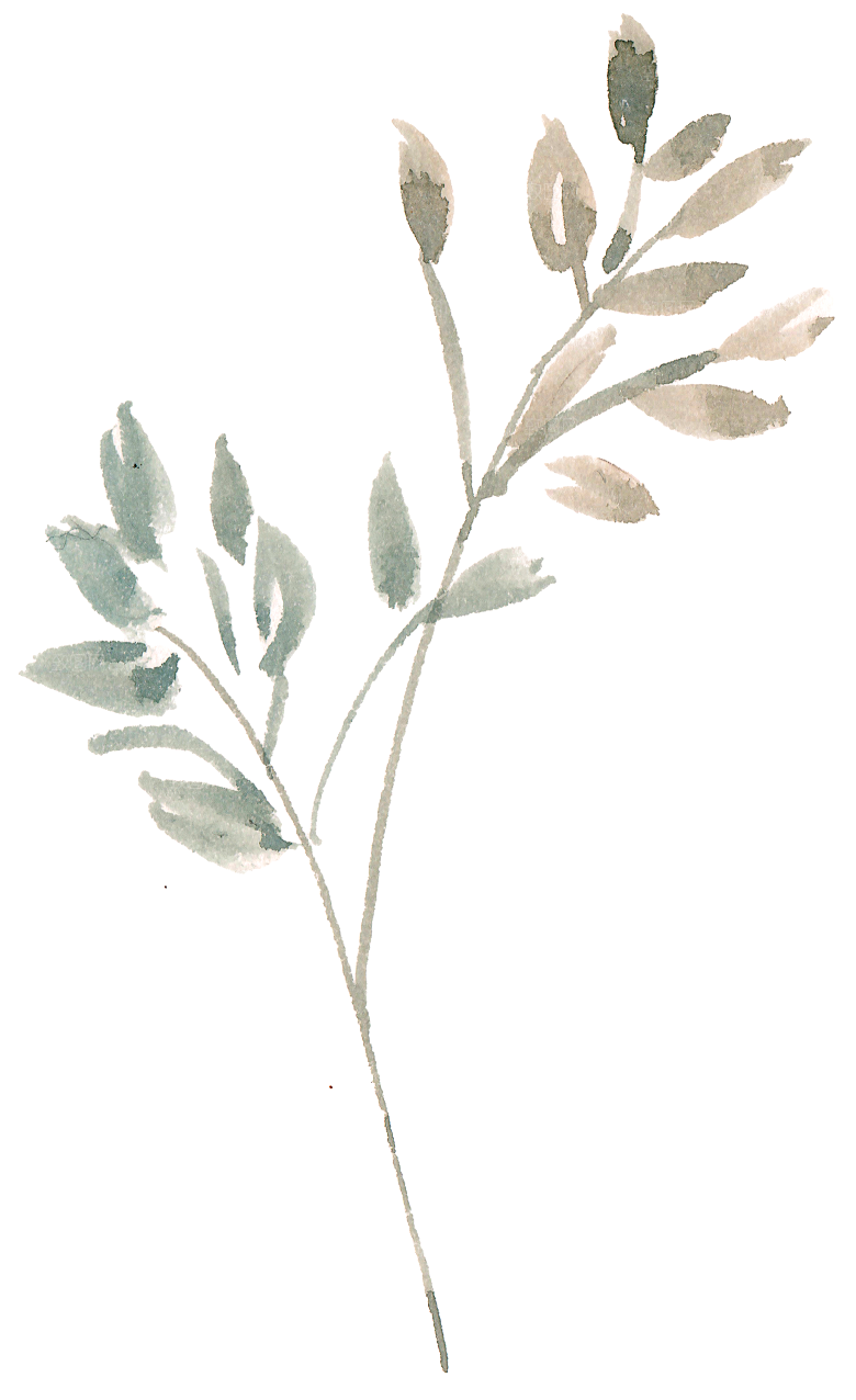 水墨手绘花卉树枝免扣元素