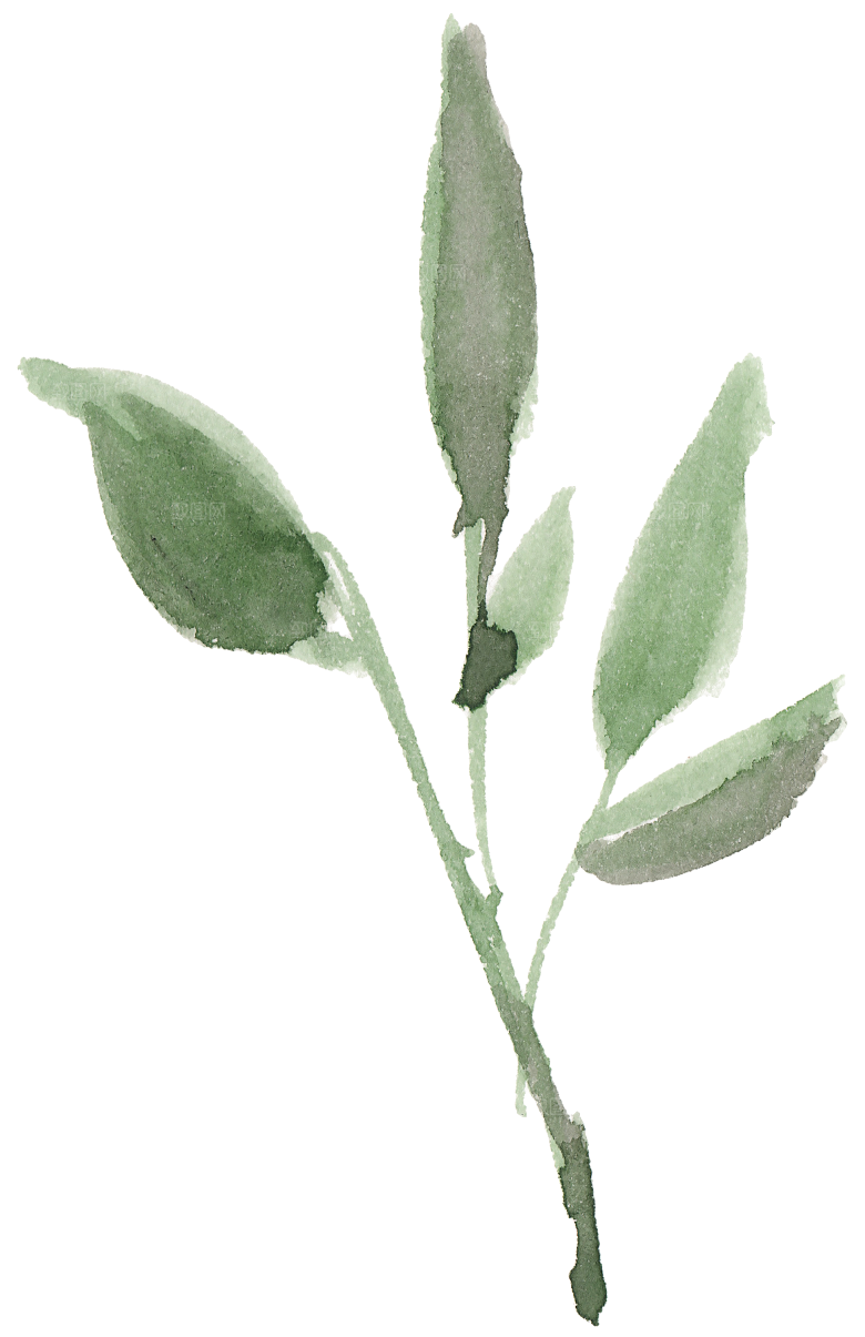 水墨手绘花卉树枝免扣元素