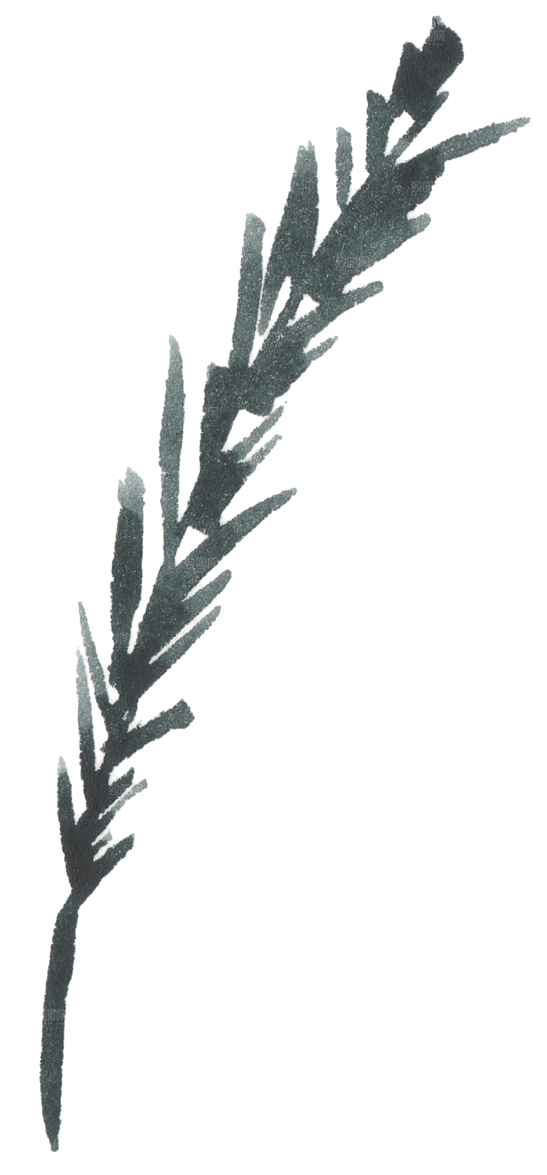 简约大气花卉植物免扣元素