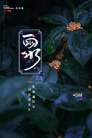 酷炫雨水节气宣传海报