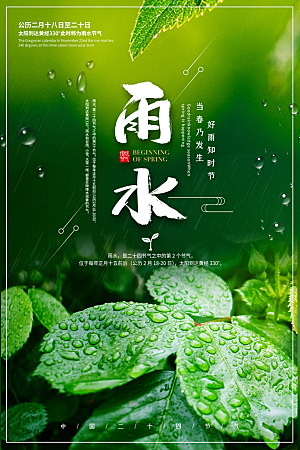 高级雨水节气宣传海报