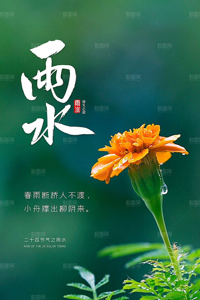 高端雨水节气宣传海报
