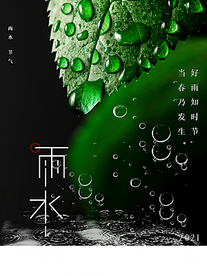 时尚雨水节气宣传海报