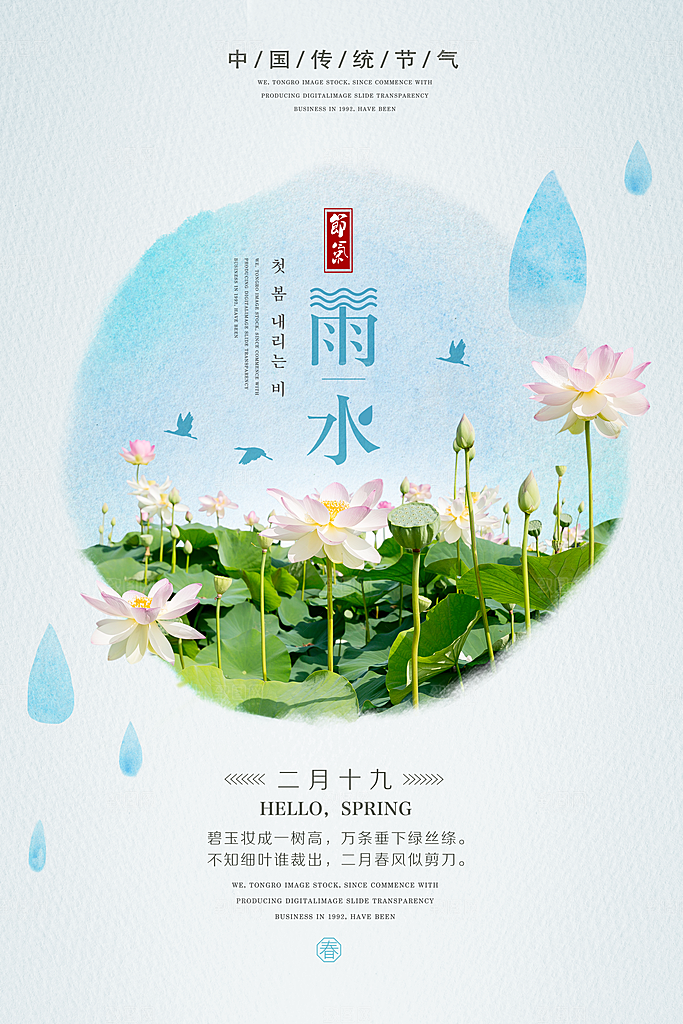 时尚雨水节气宣传海报
