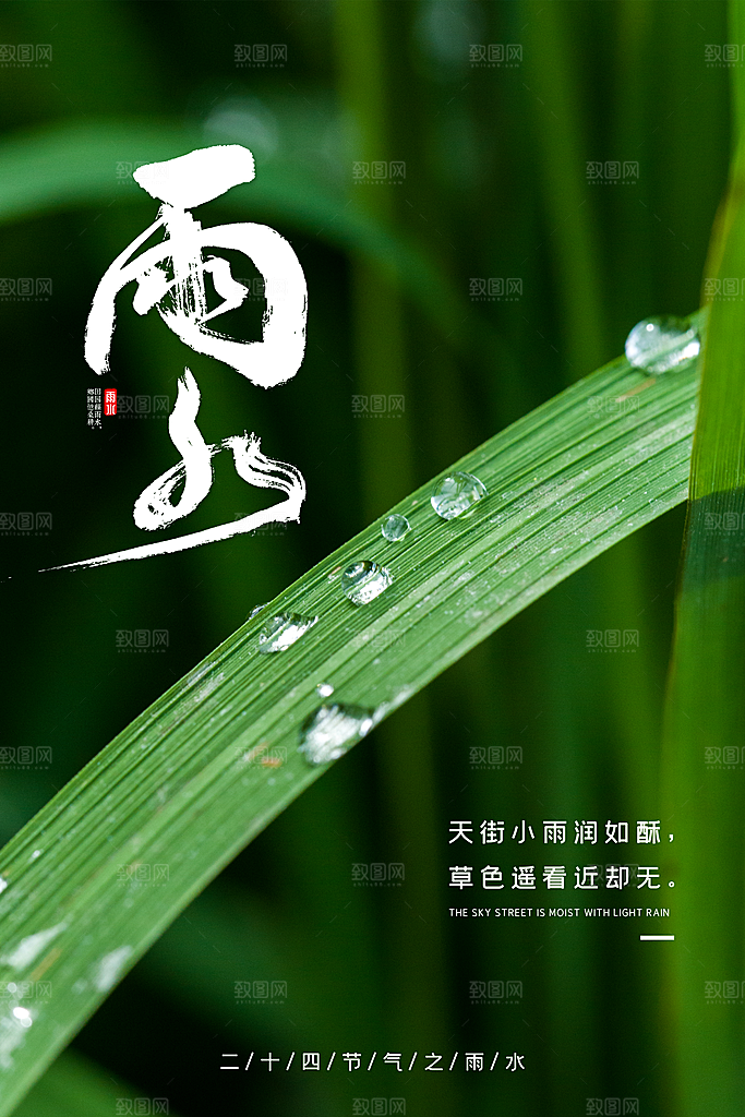 大气雨水节气宣传海报