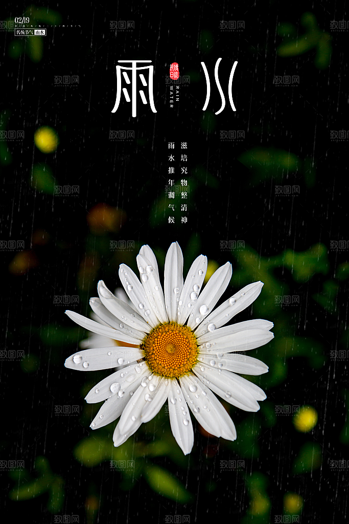 大气雨水节气宣传海报
