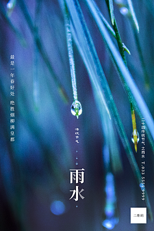 大气雨水节气宣传海报