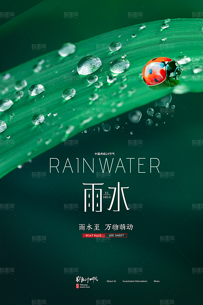 雨水节气宣传海报