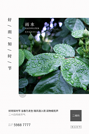 高级雨水节气宣传海报