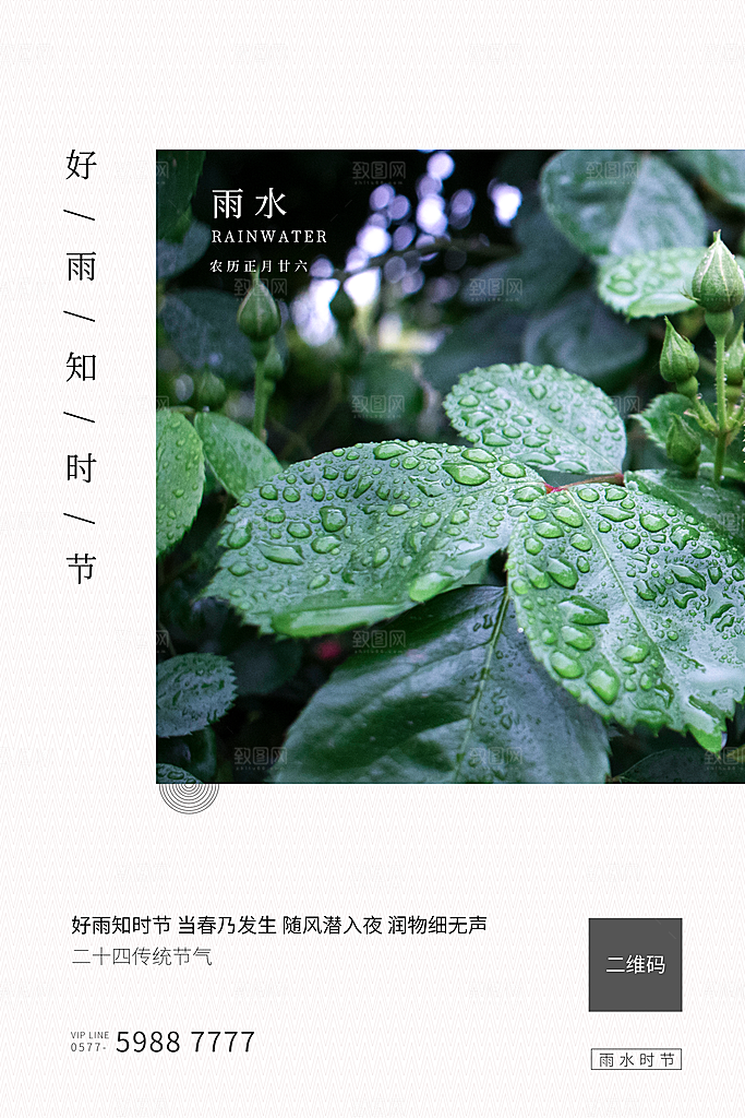 高级雨水节气宣传海报