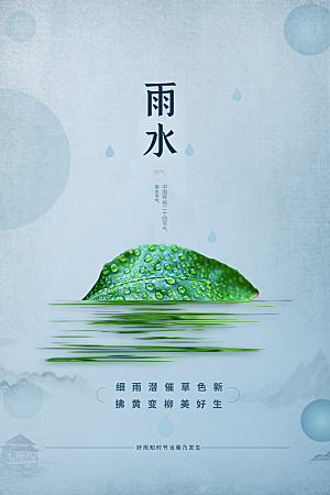 高档雨水节气宣传海报