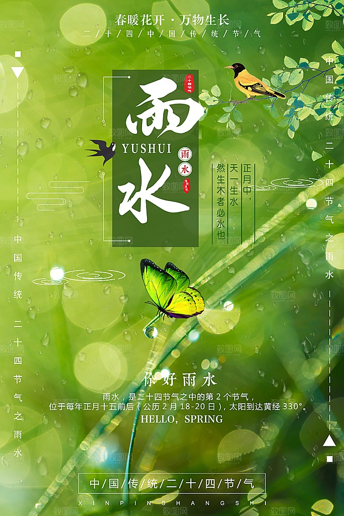 潮流雨水节气宣传海报