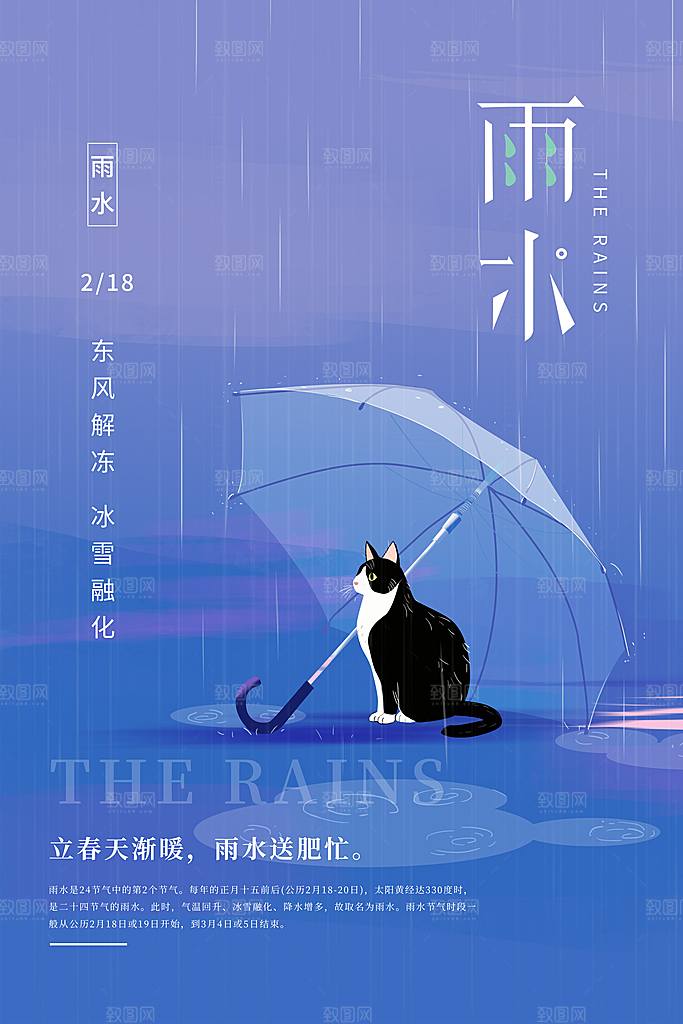 酷炫雨水节气宣传海报