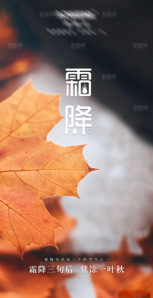 二十四节气霜降海报