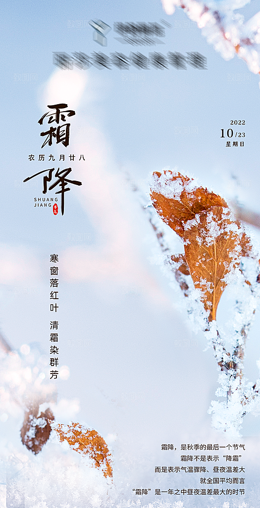 二十四节气-霜降海报