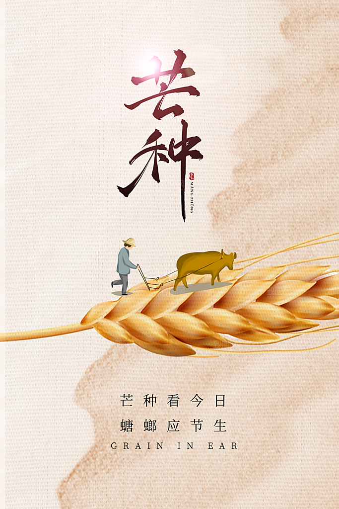 创意二十四节气芒种节日宣传主题海报