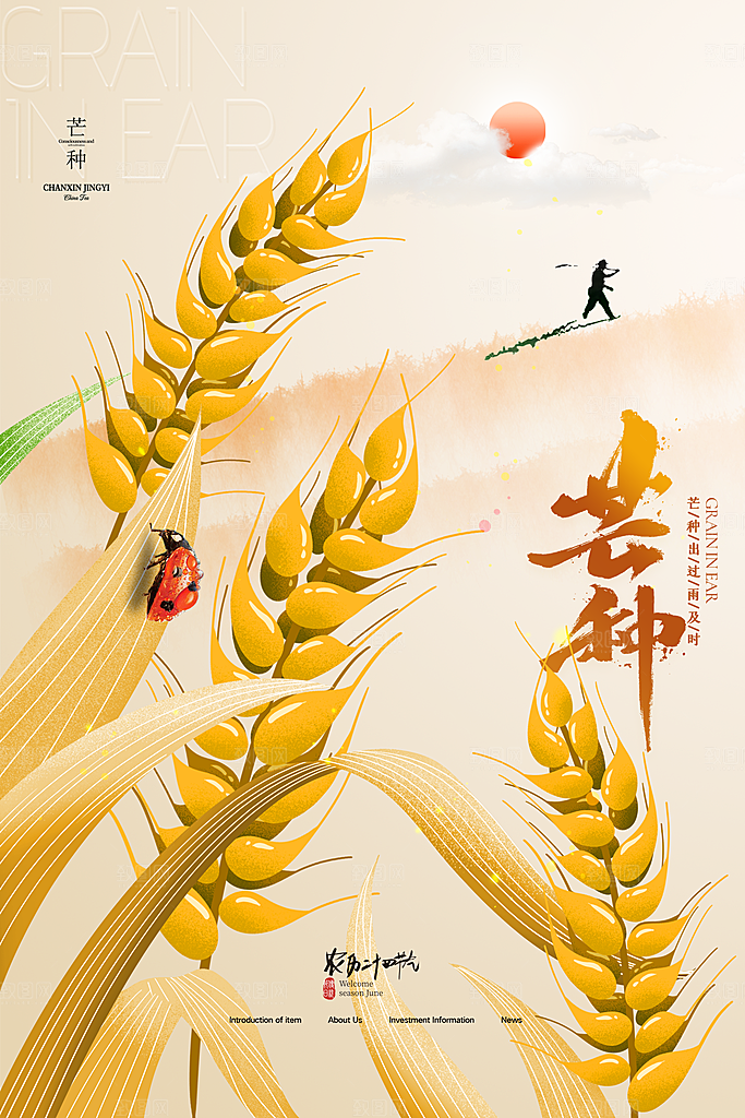 创意二十四节气芒种节日宣传主题海报