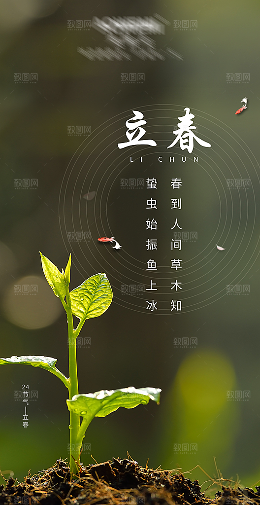 二十四节气-立春海报